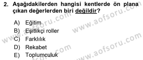 Türkiye´nin Toplumsal Yapısı Dersi 2025 - 2026 Yılı (Final) Dönem Sonu Sınav Soruları 2. Soru