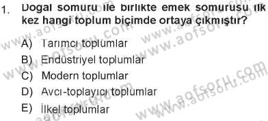 Çevre Sosyolojisi Dersi 2012 - 2013 Yılı Tek Ders Sınav Soruları 1. Soru