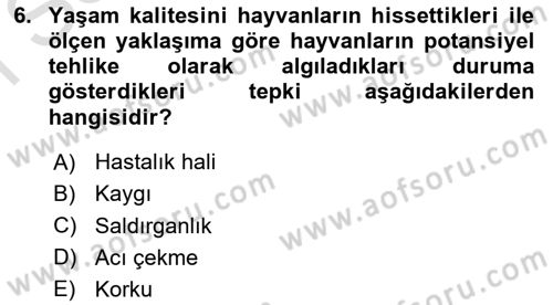 Çevre Sosyolojisi Dersi 2021 - 2022 Yılı (Final) Dönem Sonu Sınav Soruları 6. Soru