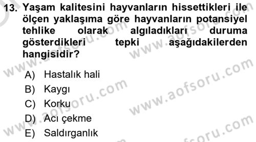 Çevre Sosyolojisi Dersi 2023 - 2024 Yılı Yaz Okulu Sınav Soruları 13. Soru