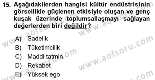 Sosyal Medya Sosyolojisi Dersi 2021 - 2022 Yılı Yaz Okulu Sınav Soruları 15. Soru