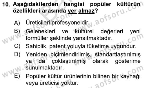 Sosyal Medya Sosyolojisi Dersi 2023 - 2024 Yılı (Final) Dönem Sonu Sınav Soruları 10. Soru