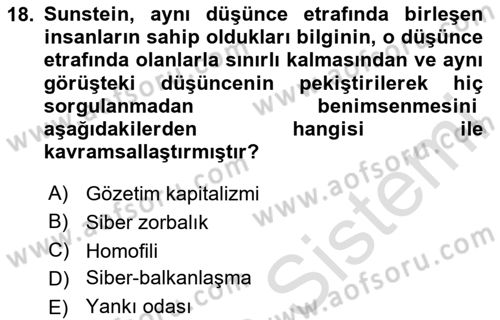 Sosyal Medya Sosyolojisi Dersi 2024 - 2025 Yılı (Vize) Ara Sınav Soruları 18. Soru