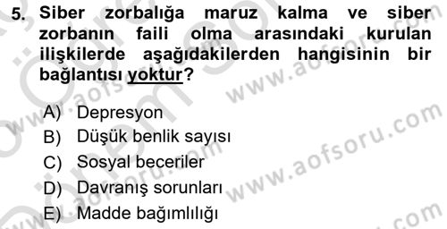 Sosyal Medya Sosyolojisi Dersi 2024 - 2025 Yılı (Final) Dönem Sonu Sınav Soruları 5. Soru