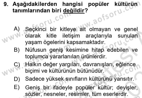 Sosyal Medya Sosyolojisi Dersi 2024 - 2025 Yılı (Final) Dönem Sonu Sınav Soruları 9. Soru