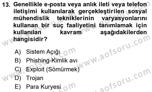 Sosyal Medya Sosyolojisi Dersi 2024 - 2025 Yılı Yaz Okulu Sınav Soruları 13. Soru