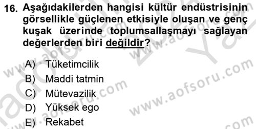 Sosyal Medya Sosyolojisi Dersi 2024 - 2025 Yılı Yaz Okulu Sınav Soruları 16. Soru