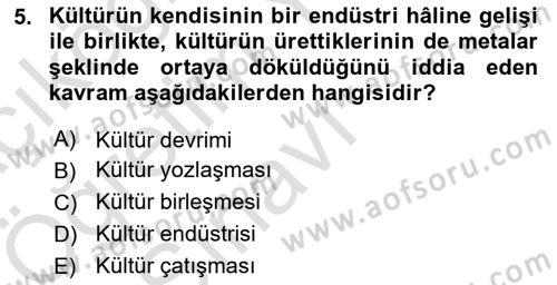 Sosyal Medya Sosyolojisi Dersi 2024 - 2025 Yılı Yaz Okulu Sınav Soruları 5. Soru