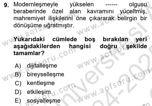 Sosyal Medya Sosyolojisi Dersi 2024 - 2025 Yılı Yaz Okulu Sınav Soruları 9. Soru