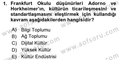 Sosyal Medya Sosyolojisi Dersi 2025 - 2026 Yılı (Vize) Ara Sınav Soruları 1. Soru