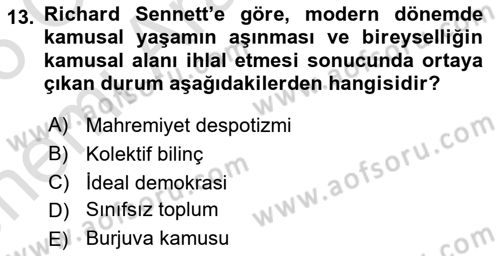 Sosyal Medya Sosyolojisi Dersi 2025 - 2026 Yılı (Vize) Ara Sınav Soruları 13. Soru