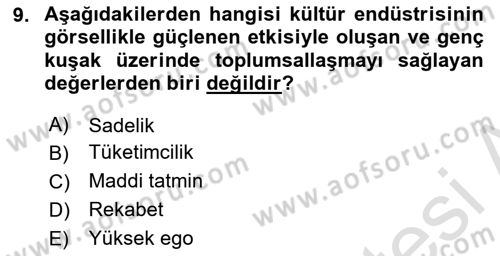Sosyal Medya Sosyolojisi Dersi 2025 - 2026 Yılı (Final) Dönem Sonu Sınav Soruları 9. Soru