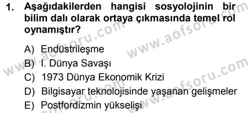 Çalışma Sosyolojisi Dersi 2012 - 2013 Yılı (Final) Dönem Sonu Sınavı 1. Soru