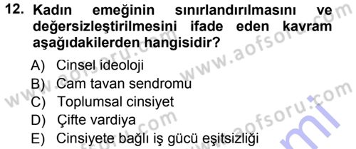 Çalışma Sosyolojisi Dersi 2012 - 2013 Yılı (Final) Dönem Sonu Sınavı 12. Soru