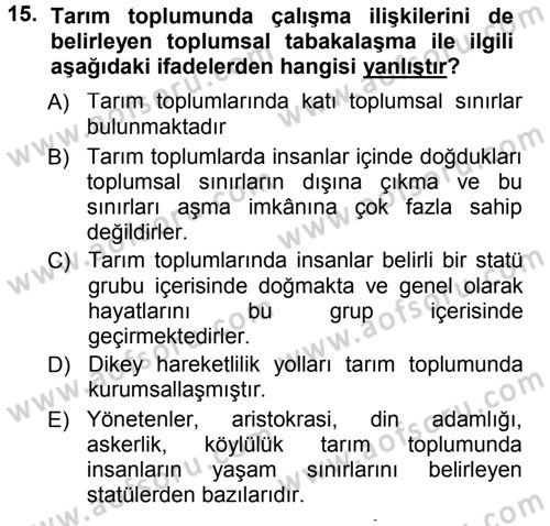 Çalışma Sosyolojisi Dersi 2012 - 2013 Yılı (Final) Dönem Sonu Sınavı 15. Soru