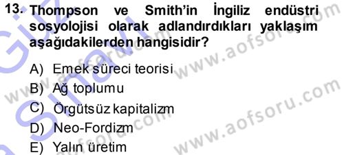 Çalışma Sosyolojisi Dersi 2013 - 2014 Yılı (Vize) Ara Sınavı 13. Soru