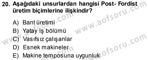 Çalışma Sosyolojisi Dersi 2013 - 2014 Yılı (Vize) Ara Sınavı 20. Soru