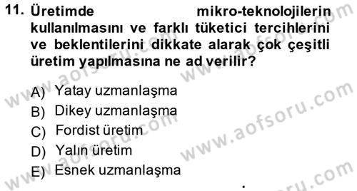 Çalışma Sosyolojisi Dersi 2014 - 2015 Yılı (Vize) Ara Sınavı 11. Soru