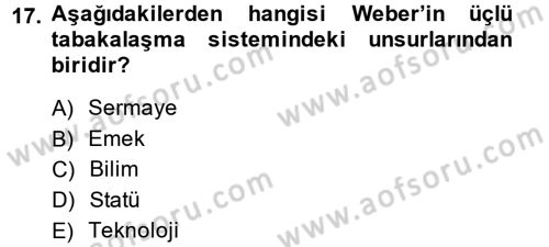 Çalışma Sosyolojisi Dersi 2014 - 2015 Yılı (Vize) Ara Sınavı 17. Soru