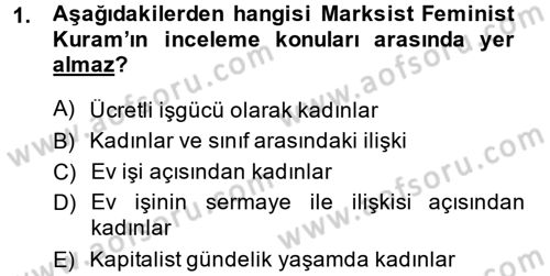 Çalışma Sosyolojisi Dersi 2014 - 2015 Yılı (Final) Dönem Sonu Sınav Soruları 1. Soru