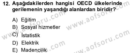 Çalışma Sosyolojisi Dersi 2014 - 2015 Yılı (Final) Dönem Sonu Sınav Soruları 12. Soru