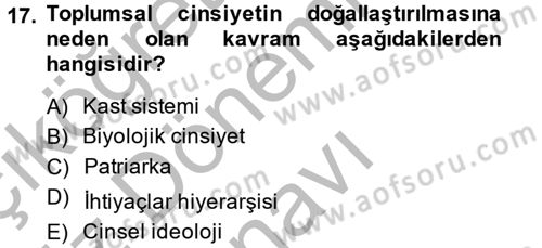 Çalışma Sosyolojisi Dersi 2014 - 2015 Yılı (Final) Dönem Sonu Sınav Soruları 17. Soru