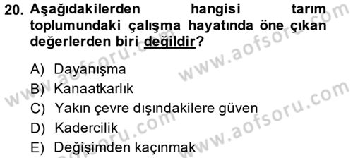 Çalışma Sosyolojisi Dersi 2014 - 2015 Yılı (Final) Dönem Sonu Sınav Soruları 20. Soru