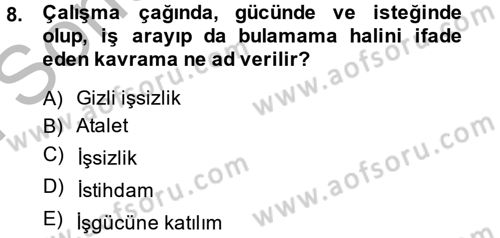 Çalışma Sosyolojisi Dersi 2014 - 2015 Yılı (Final) Dönem Sonu Sınav Soruları 8. Soru