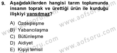 Çalışma Sosyolojisi Dersi 2014 - 2015 Yılı (Final) Dönem Sonu Sınav Soruları 9. Soru