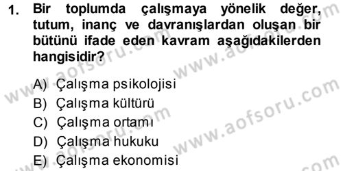 Çalışma Sosyolojisi Dersi 2014 - 2015 Yılı Tek Ders Sınavı 1. Soru