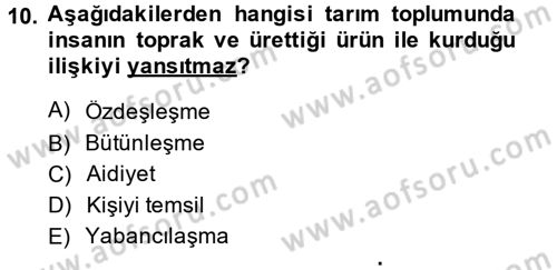 Çalışma Sosyolojisi Dersi 2014 - 2015 Yılı Tek Ders Sınavı 10. Soru