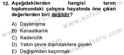 Çalışma Sosyolojisi Dersi 2014 - 2015 Yılı Tek Ders Sınavı 12. Soru