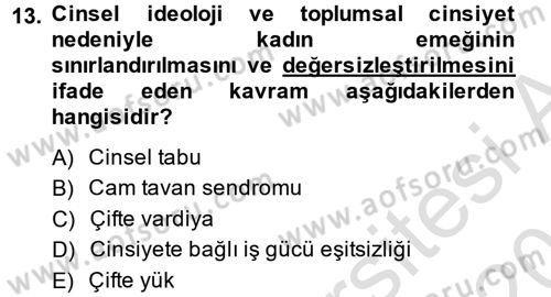 Çalışma Sosyolojisi Dersi 2014 - 2015 Yılı Tek Ders Sınavı 13. Soru