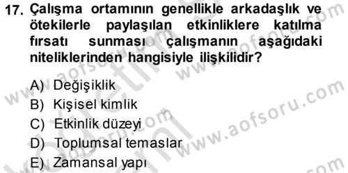 Çalışma Sosyolojisi Dersi 2014 - 2015 Yılı Tek Ders Sınavı 17. Soru