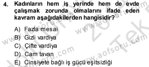 Çalışma Sosyolojisi Dersi 2014 - 2015 Yılı Tek Ders Sınavı 4. Soru