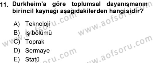 Çalışma Sosyolojisi Dersi 2015 - 2016 Yılı (Vize) Ara Sınavı 11. Soru