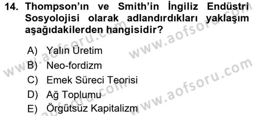 Çalışma Sosyolojisi Dersi 2015 - 2016 Yılı (Vize) Ara Sınavı 14. Soru