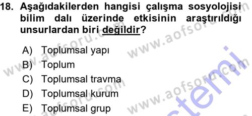 Çalışma Sosyolojisi Dersi 2015 - 2016 Yılı (Vize) Ara Sınavı 18. Soru