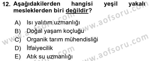 Çalışma Sosyolojisi Dersi 2015 - 2016 Yılı (Final) Dönem Sonu Sınavı 12. Soru