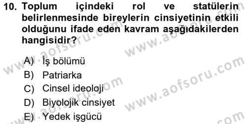 Çalışma Sosyolojisi Dersi 2016 - 2017 Yılı 3 Ders Sınav Soruları 10. Soru