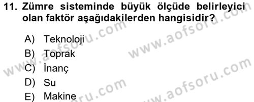 Çalışma Sosyolojisi Dersi 2016 - 2017 Yılı 3 Ders Sınav Soruları 11. Soru