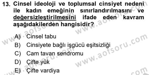 Çalışma Sosyolojisi Dersi 2016 - 2017 Yılı 3 Ders Sınav Soruları 13. Soru