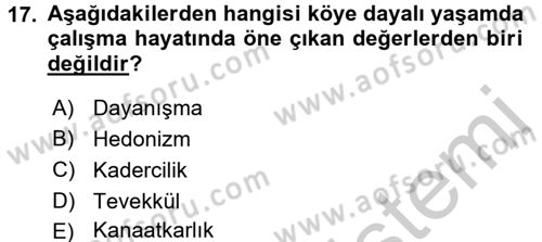 Çalışma Sosyolojisi Dersi 2016 - 2017 Yılı 3 Ders Sınav Soruları 17. Soru