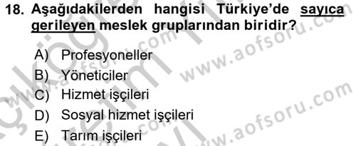 Çalışma Sosyolojisi Dersi 2016 - 2017 Yılı 3 Ders Sınav Soruları 18. Soru