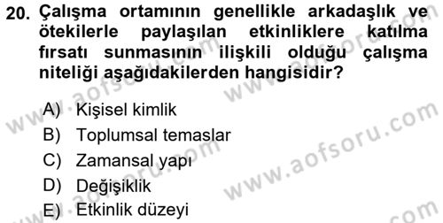 Çalışma Sosyolojisi Dersi 2016 - 2017 Yılı 3 Ders Sınav Soruları 20. Soru
