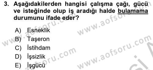 Çalışma Sosyolojisi Dersi 2016 - 2017 Yılı 3 Ders Sınav Soruları 3. Soru