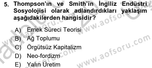 Çalışma Sosyolojisi Dersi 2016 - 2017 Yılı 3 Ders Sınav Soruları 5. Soru
