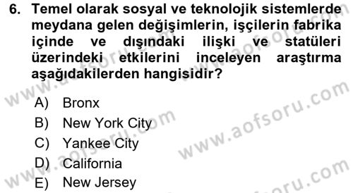 Çalışma Sosyolojisi Dersi 2016 - 2017 Yılı 3 Ders Sınav Soruları 6. Soru