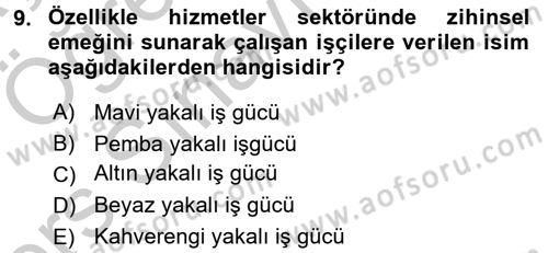 Çalışma Sosyolojisi Dersi 2016 - 2017 Yılı 3 Ders Sınav Soruları 9. Soru