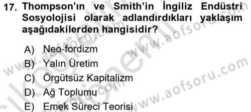 Çalışma Sosyolojisi Dersi Ara Sınavı Deneme Sınav Soruları 17. Soru